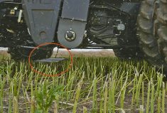 One preparation for Harvest 2022 could be to get a drop pan system to measure combine losses. An electronic-release pan that connects to the underside of the combine is a simple though higher cost option. Another option is to have someone drop a plastic storage bin under the back of the combine as it drives by.