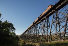 File photo of a BNSF grain train crossing the Gassman Coulee trestle near Minot, North Dakota. (Photo courtesy BNSF Railway)
