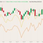 MGEX December 2022 spring wheat (candlesticks) with K.C. December 2022 hard red wheat (yellow line) and CBOT December 2022 soft red wheat (orange line). (Barchart)