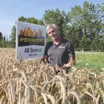 Larry Penner plans on including winter cereal crops in his rotation for several reasons – it spreads out the workload, benefits wildlife, improves weed control and, at the end of the day, the crops are also profitable.