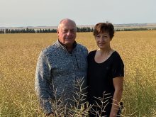 Les and Loree Wedderburn farm near Rivers, Man. Last December, thieves stole 1,600 bushels of canola worth about $40,000 from a grain bin. The
Wedderburns were shocked by the theft because they thought they lived in a community where something like this would never happen. Since the
theft, the Wedderburns have taken measures to deter and prevent an incident like this happening again.