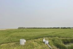 In August 2021, the Classen family used the water in their reservoir to backflood the tile drainage system to save some of their soybean crop, which was wilting and under extreme stress. They saw big results within 24 hours.