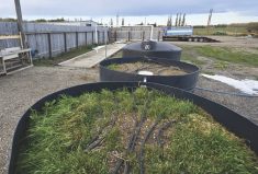 Farming Smarter used salvaged materials to construct this two-stage biobed at its research farm near Lethbridge, Alta., in 2019.