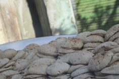 Fresh bread in Egypt. (Goldream/iStock/Getty Images)
