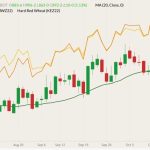 CBOT December 2022 soft red winter wheat (candlesticks) with 20-day moving average (dark green line), MGEX December 2022 hard red spring wheat (yellow line) and K.C. December 2022 hard red winter wheat (orange line). (Barchart)