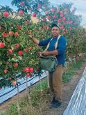 Gurpreet Lidder, along with family members, operates an 80-acre fruit farm
near the B.C. Southern Interior community of Keremeos, producing a wide
range of fruit through farm gate sales as well as to wholesale markets.