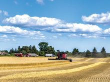 What is sustainable agriculture?