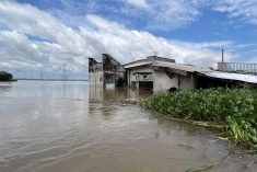 An office of a 50-hectare rice farm is submerged in floodwater from the Benue river at Makurdi in central Nigeria on Oct. 1 2022. (Photo: Reuters/Afolabi Sotunde)
