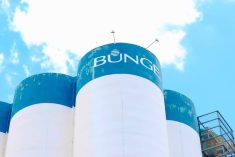 (Bunge video screengrab via Vimeo)