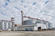 Louis Dreyfus&#8217; oilseed processing plant at Yorkton, Sask. (LDC.com)
