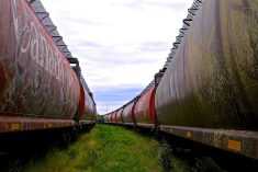 (File photo by Dave Bedard)