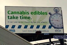 Manitoba’s Liquor, Gaming and Cannabis Authority (LGCA) ran billboards such as this one in Winnipeg in 2019 to educate the public ahead of edibles’ entry to the recreational market. (Dave Bedard photo)