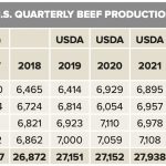 Beef supplies will tighten by mid-2023