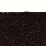 Five questions to ask your soil sampler