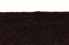 Five questions to ask your soil sampler