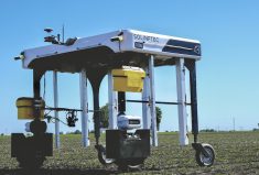 The autonomous Solix can identify and spot spray weeds, as well as collect a wide variety of crop data in the process.