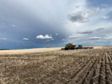 Using a nitrogen stabilizing product such as ESN allows farmers to place more nitrogen in or near the seed row without damage to the seedling.