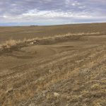 Wind erosion can have devastating consequences on soil health, as seen in this photo.
