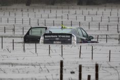 A submerged and abandoned car is seen in floodwaters near a vineyard after winter storms at Forestville, California on Jan. 13, 2023. (Photo: Reuters/Fred Greaves)
