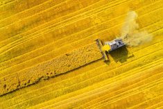 File photo of a combine at work during a harvest in Germany. (Abadonian/iStock/Getty Images)
