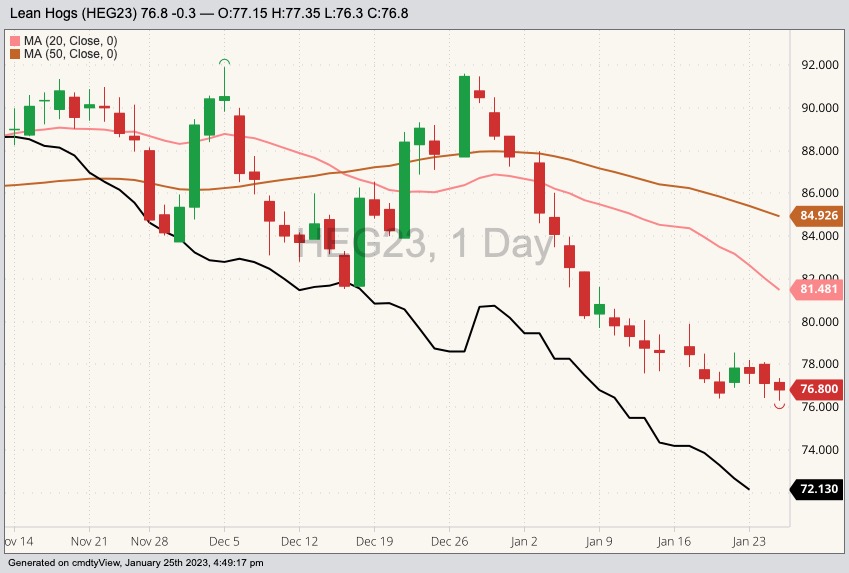 CME February 2023 lean hogs with 20- and 50-day moving averages and CME cash lean hog index (black line). (Barchart)

