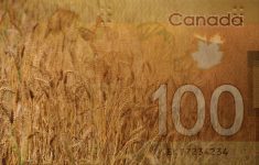 Rebate roundup 2023