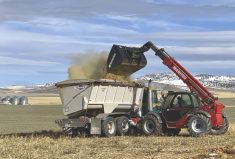 Dry alfalfa and straw bales are loaded into the Kuhn Side Slinger manure spreader, which doubles as a mixer wagon. The hay and straw will serve as biomass for the compost.