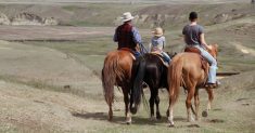 Along with native grass pastures, the Baergs are trying different combinations of seeded grass and legume species to  provide both annual and perennial forage stands.