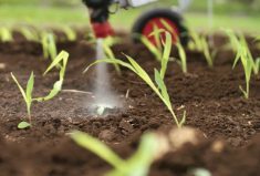 The green-on-green spray technology displayed here allows weeds to be detected and sprayed in a growing crop. Sprayer expert Tom Wolfe put spot spraying right up there in his list of top three transformative technologies during a recent presentation at the Manitoba Agronomists Conference.