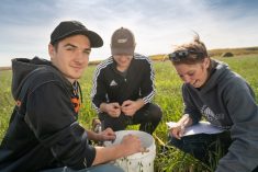 A handful of soil health projects have secured funding for the next five years in the hope of kick starting soil health practices in the field. (Assiniboine Community College photo)

