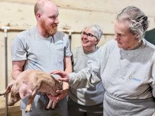 Chris Neufeld, Animal Care and Biosecurity, HyLife, at left, with Karine Talbot, Director of Animal Health, HyLife talk about proper handling procedures with Dr. Temple Grandin.
