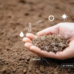 Good soils or loamy soils are ones that contain equal parts of sand, silt and clay. Unfortunately, this ideal mix is not that common on the Prairies.