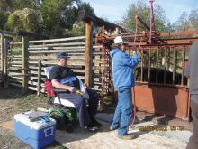 Veterinarian Dr. Cope who was just at the Thomas ranch this fall doing ultrasound preg checking has died after serving  his clients for some 44 years. Although in failing health he remained active until the end.