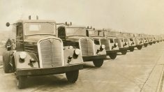 Some of the brand’s trucks awaiting delivery in 1936.