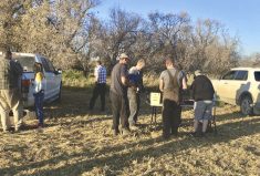 Chris Raupers says most of the farm workers he has brought in from Europe are highly skilled and extremely dedicated to the job.