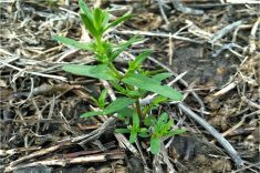 How to improve pre-seed herbicide applications