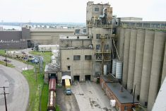 Canada Malting&#8217;s processing plant in Montreal. (CanadaMalting.com)
