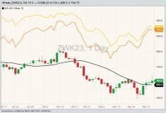 CBOT May 2023 soft red winter wheat with 20-day moving average, MGEX May 2023 hard red spring wheat (yellow line) and K.C. May 2023 hard red winter wheat (orange line). (Barchart)
