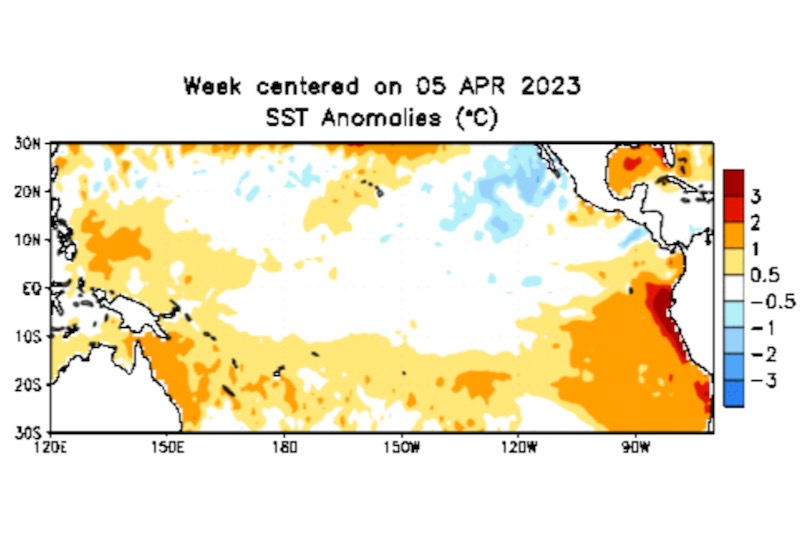 Pacific Ocean sea surface temperature (SST) anomalies, in degrees Celsius, for the week centred on April 5, 2023. (CPC.ncep.noaa.gov)
