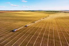 File photo of a wheat harvest in Kazakhstan. (Yerbolat Shadrakhov/iStock/Getty Images)

