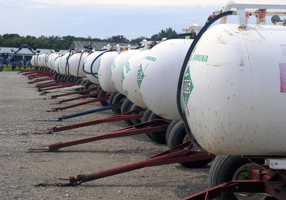 To produce ammonia, the fixed nitrogen requires huge quantities of energy in the form of heat and pressure plus natural gas. That is why urea is $1,000 or more per ton.