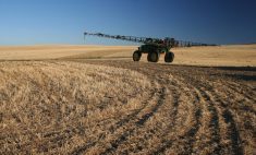 Timing of post-harvest spray applications is an important factor to consider. For example, some perennial weeds like Canada thistle require four to six weeks to regrow for a post-harvest herbicide application to be effective, which can be difficult in areas that receive early snowfalls.
