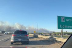 Smoke rises from a wildfire in Alberta’s Strathcona County, east of Edmonton, on May 5, 2023. (Photo: Video screengrab from @hellohildy on Twitter via Reuters)