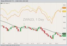 CBOT June 2023 soft red winter wheat with 20-day moving average, MGEX June 2023 hard red spring wheat (yellow line) and K.C. June 2023 hard red winter wheat (orange line). (Barchart)
