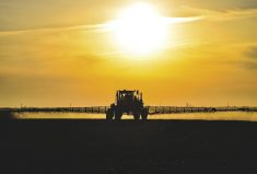 The importance of pre-seed herbicide application