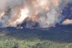 Smoke rises from a wildfire southeast of Fort Nelson in northeastern B.C. on May 27, 2023. (Photo: B.C. Wildfire Service/Handout via Reuters)