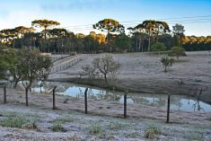 Frost on land in Brazil&#8217;s Santa Catarina state. (Edson Hardt/iStock/Getty Images)
