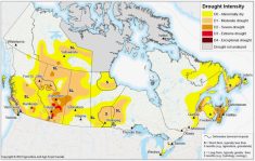 AAFC&#8217;s Drought Monitor map as of May 31, 2023.
