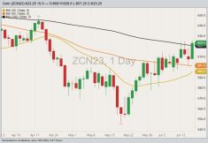 CBOT July 2023 corn with 20-, 50- and 100-day moving averages. (Barchart)
