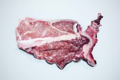Tariffs not on U.S. rancher radar